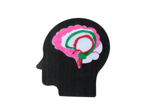 Changes in the brain through health creation